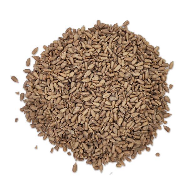 Sunflower seeds