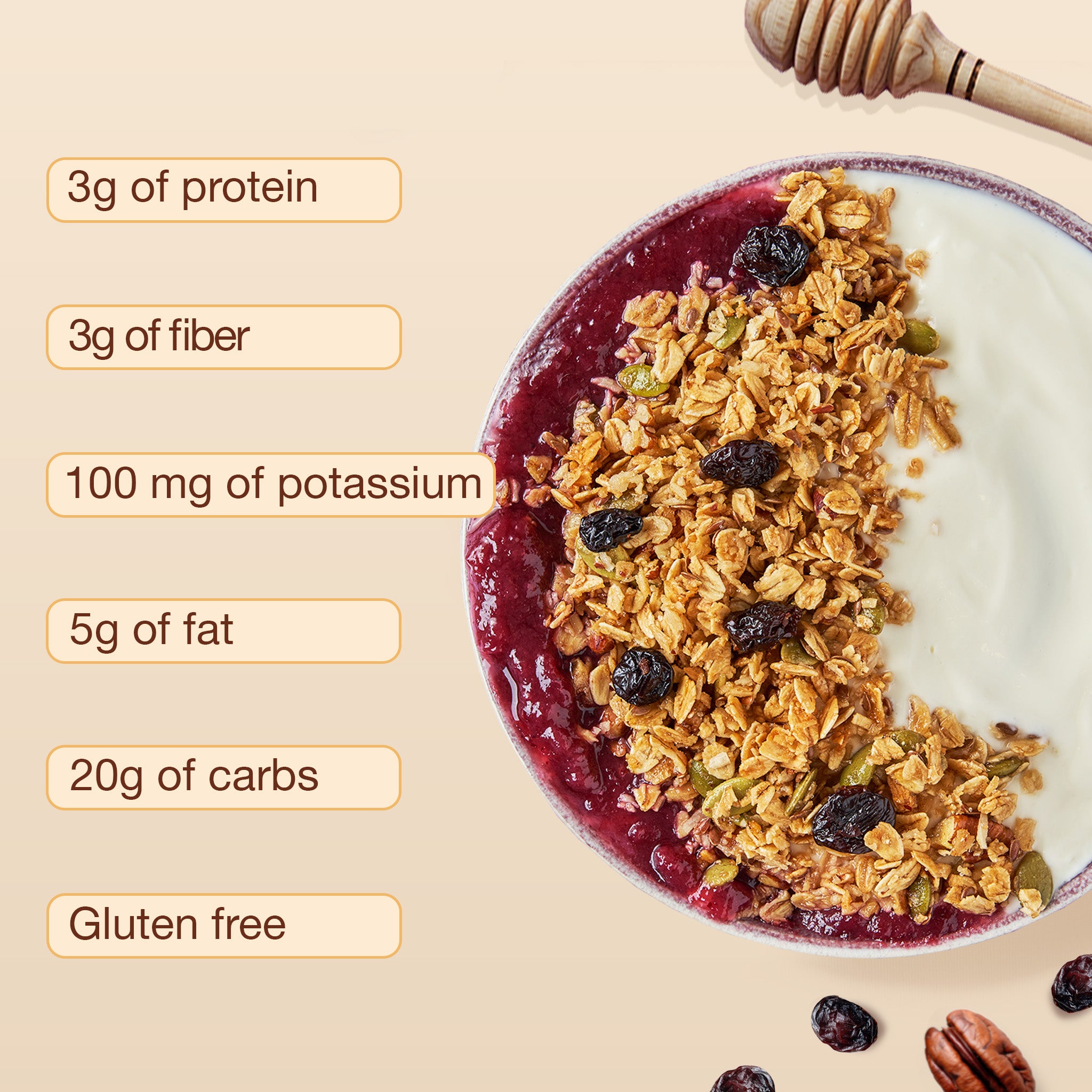 Oatmeal Raisin Crumble Granola 12oz – ToYou Snacks