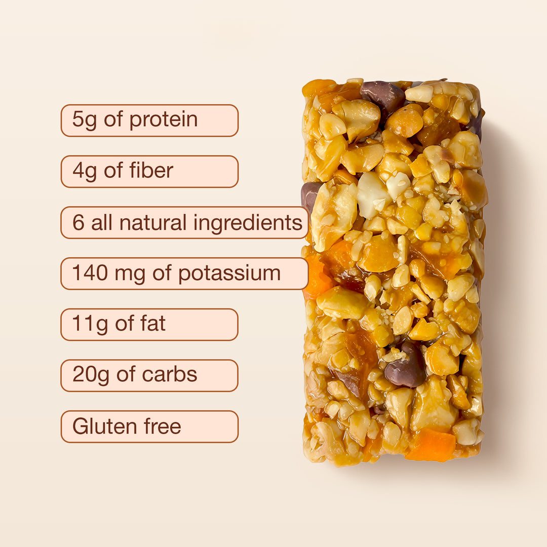 Chocolate Mango Snack Bar - 12 bars