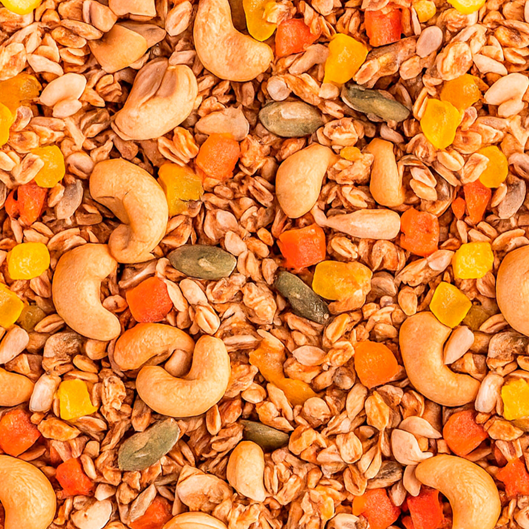 Tropical Fruit Medley Granola 12oz