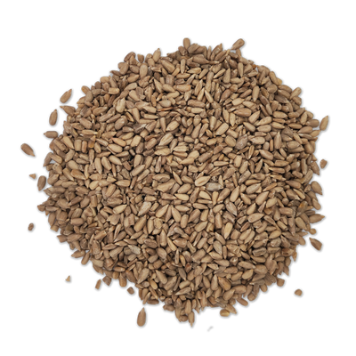 Sunflower seeds
